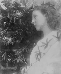 Illustratie voor het gedicht 